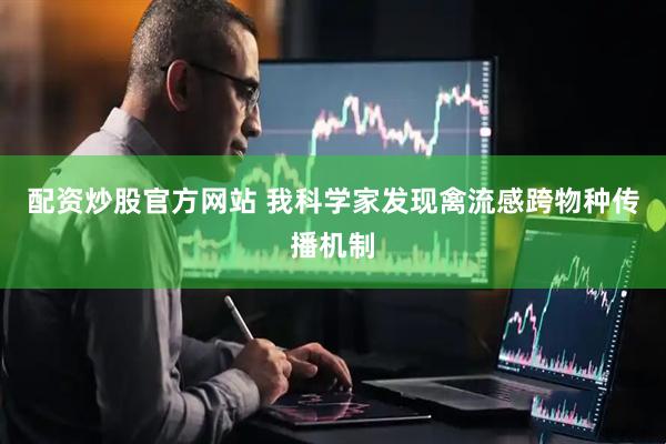 配资炒股官方网站 我科学家发现禽流感跨物种传播机制